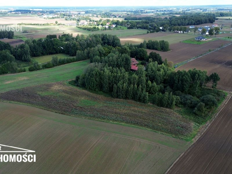 Zdjęcie ogłoszenia -  