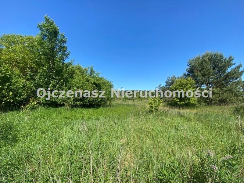 Zdjęcie ogłoszenia -  
