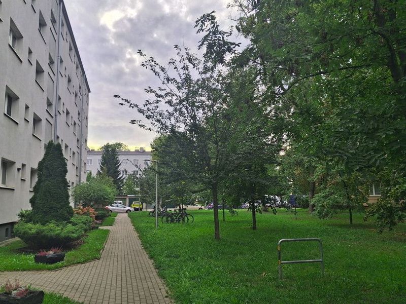 Zdjęcie ogłoszenia -  