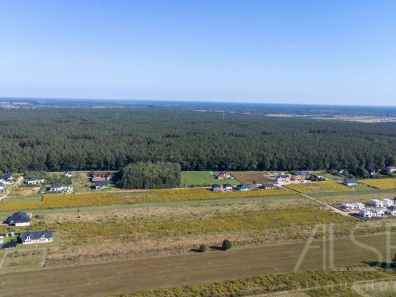 Zdjęcie ogłoszenia -  