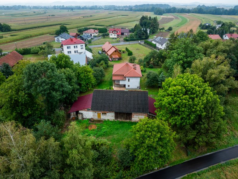 Zdjęcie ogłoszenia -  