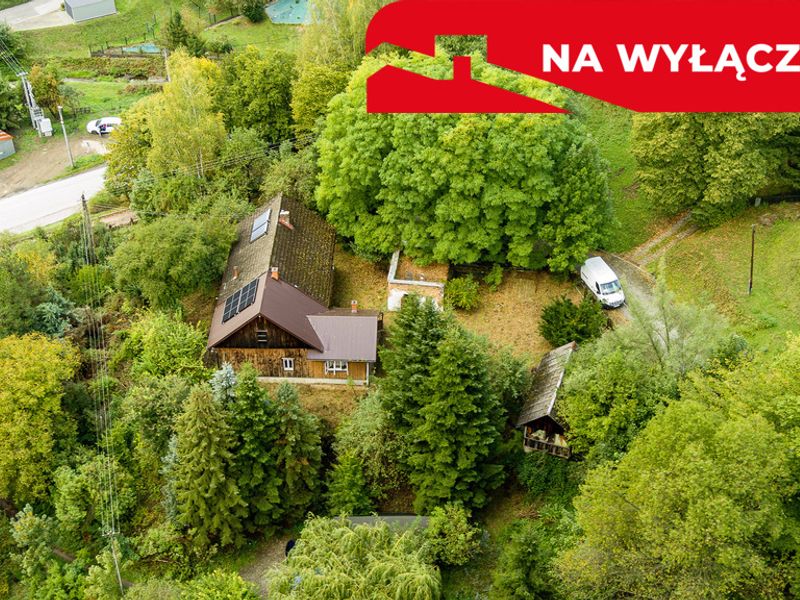 Zdjęcie ogłoszenia -  