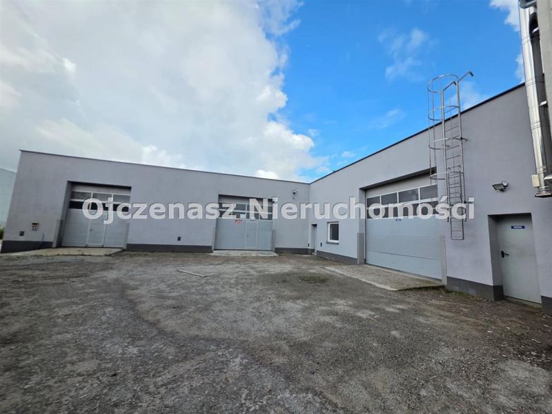 Zdjęcie ogłoszenia -  