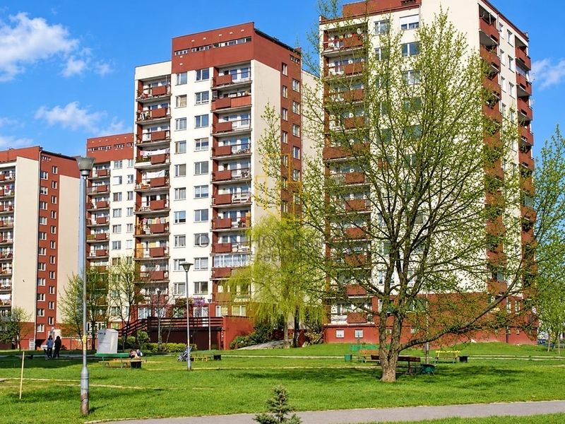 Zdjęcie ogłoszenia -  