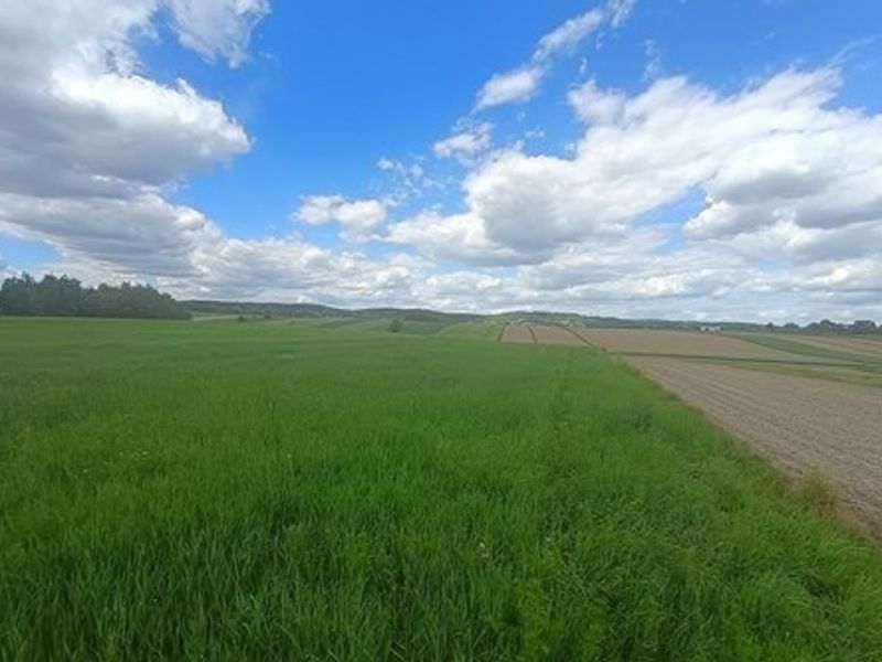 Zdjęcie ogłoszenia -  