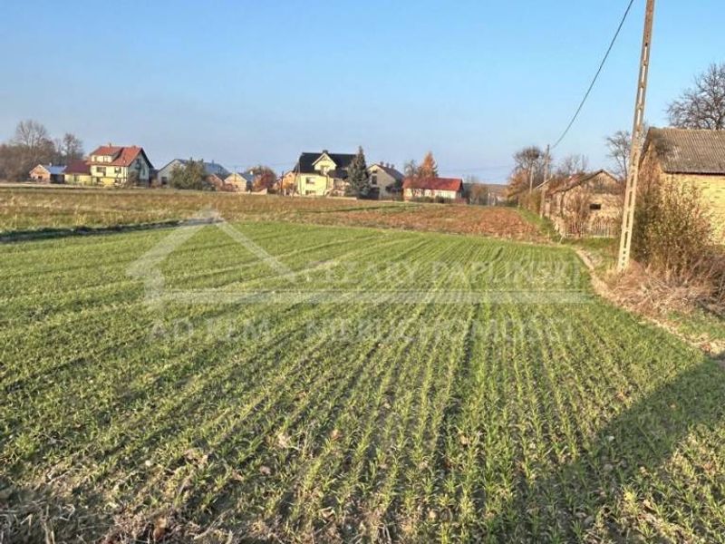 Zdjęcie ogłoszenia -  
