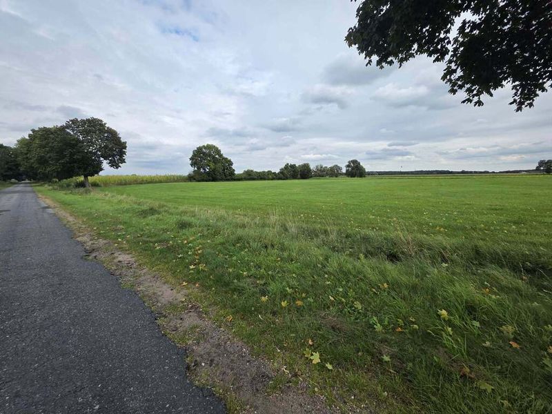 Zdjęcie ogłoszenia -  