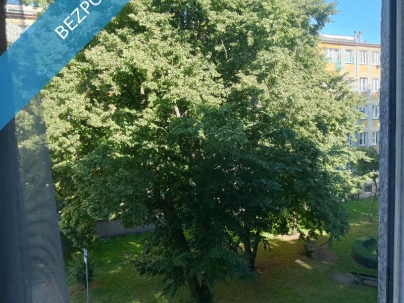 Zdjęcie ogłoszenia -  