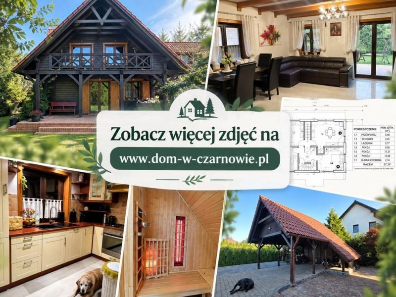 Zdjęcie ogłoszenia -  