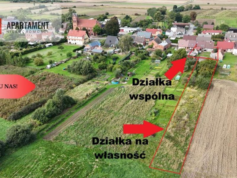 Zdjęcie ogłoszenia -  