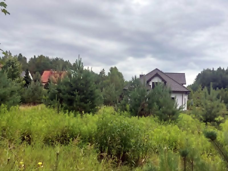 Zdjęcie ogłoszenia -  