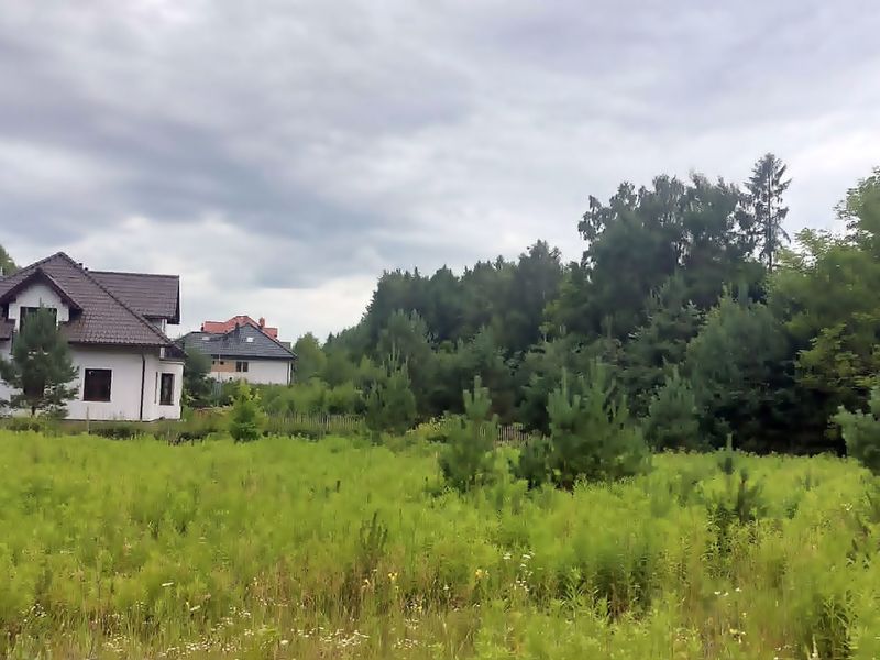 Zdjęcie ogłoszenia -  