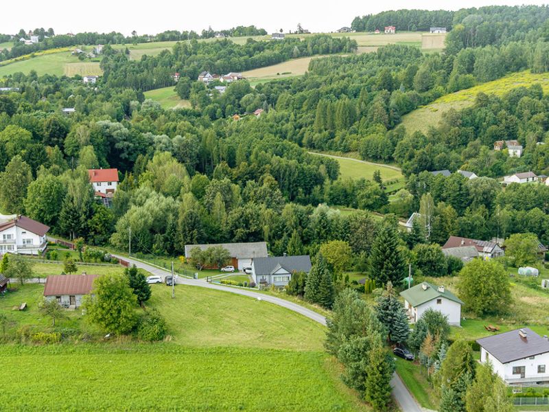 Zdjęcie ogłoszenia -  