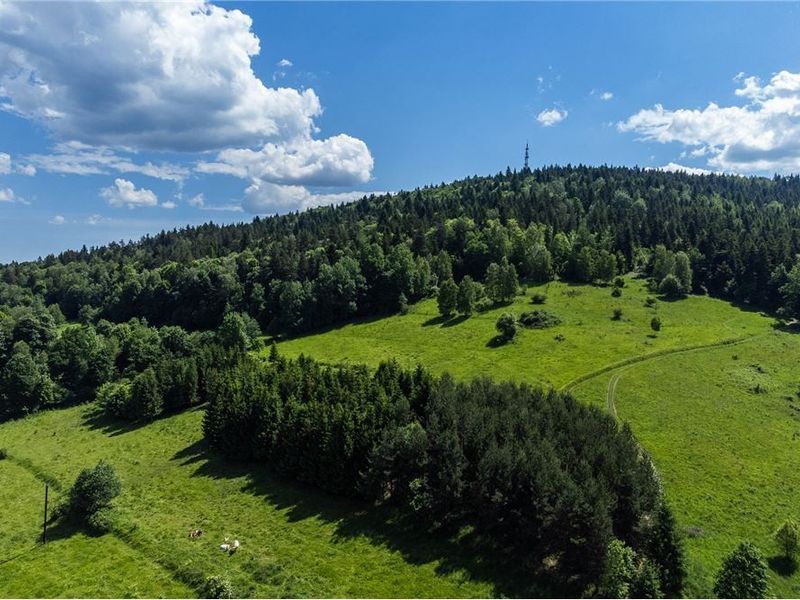 Zdjęcie ogłoszenia -  