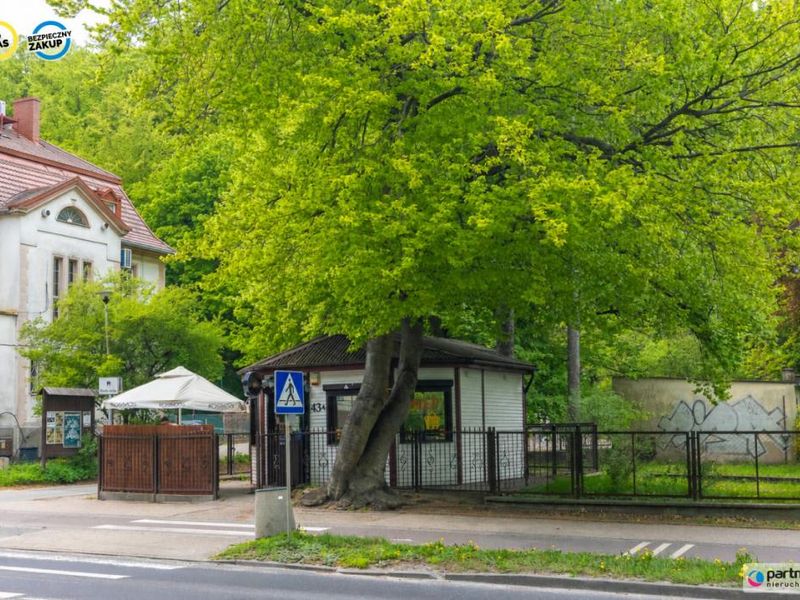 Zdjęcie ogłoszenia -  
