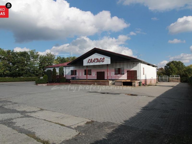 Zdjęcie ogłoszenia -  