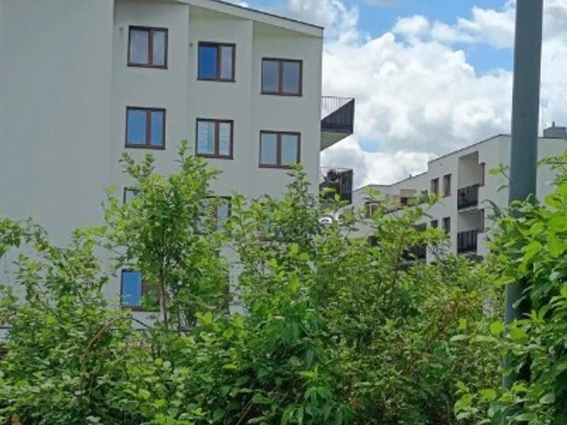 Zdjęcie ogłoszenia -  