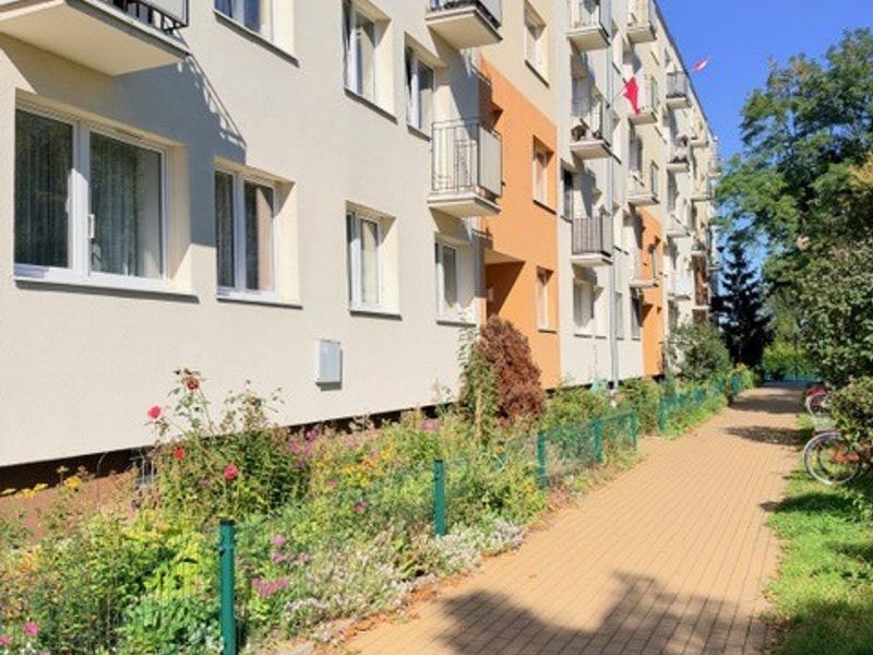 Zdjęcie ogłoszenia -  