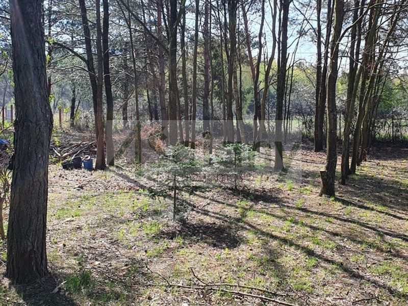 Działka budowlana 4462&nbsp;m², Orzeszyn