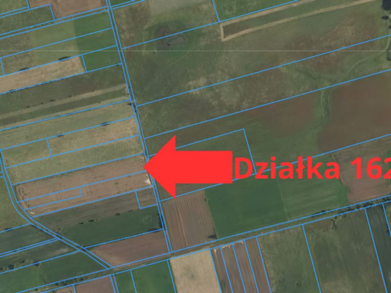 Zdjęcie ogłoszenia -  