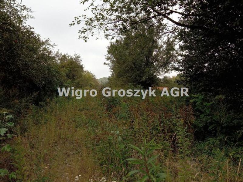 Zdjęcie ogłoszenia -  