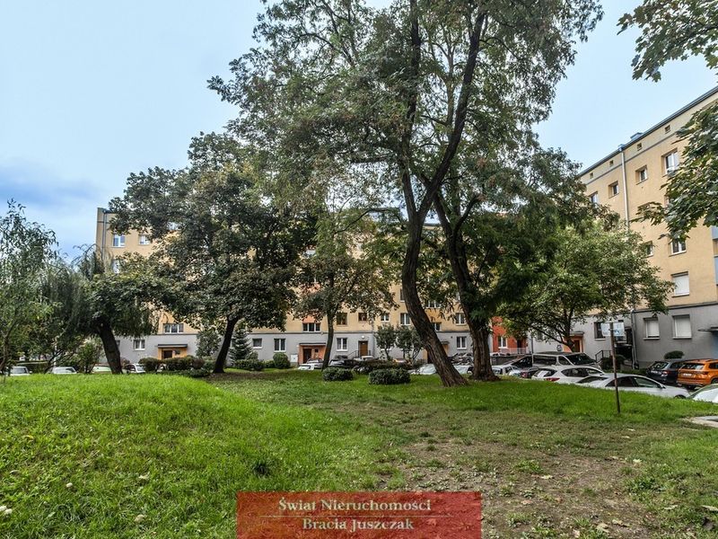 Zdjęcie ogłoszenia -  