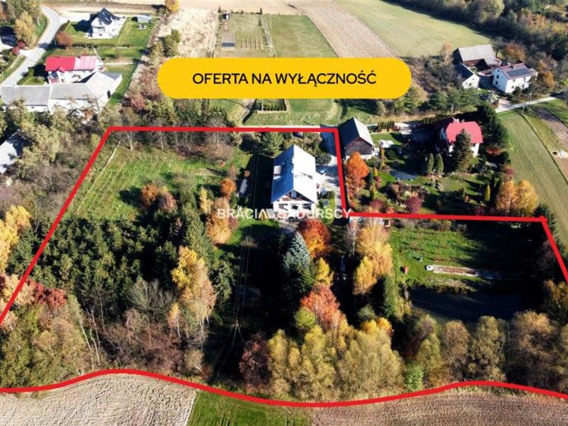 Zdjęcie ogłoszenia -  