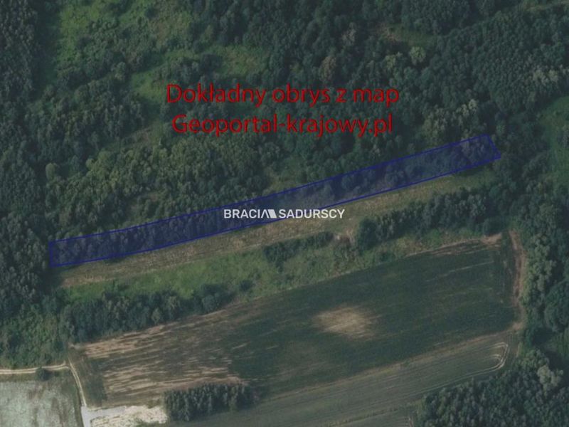 Zdjęcie ogłoszenia -  