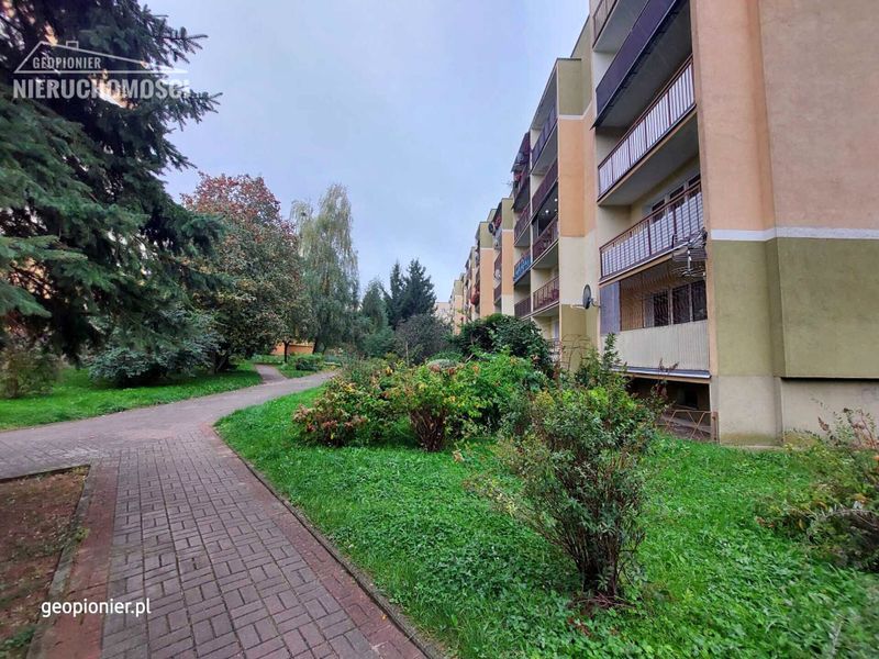 Zdjęcie ogłoszenia -  1