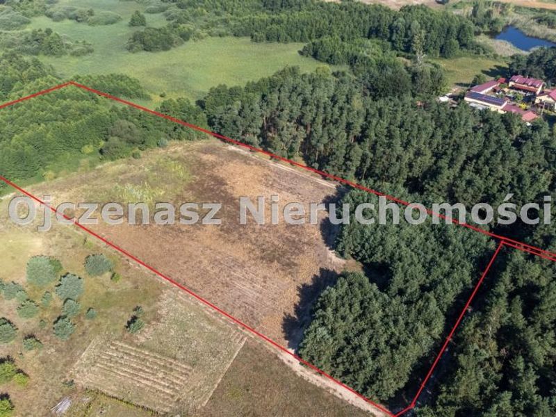 Zdjęcie ogłoszenia -  
