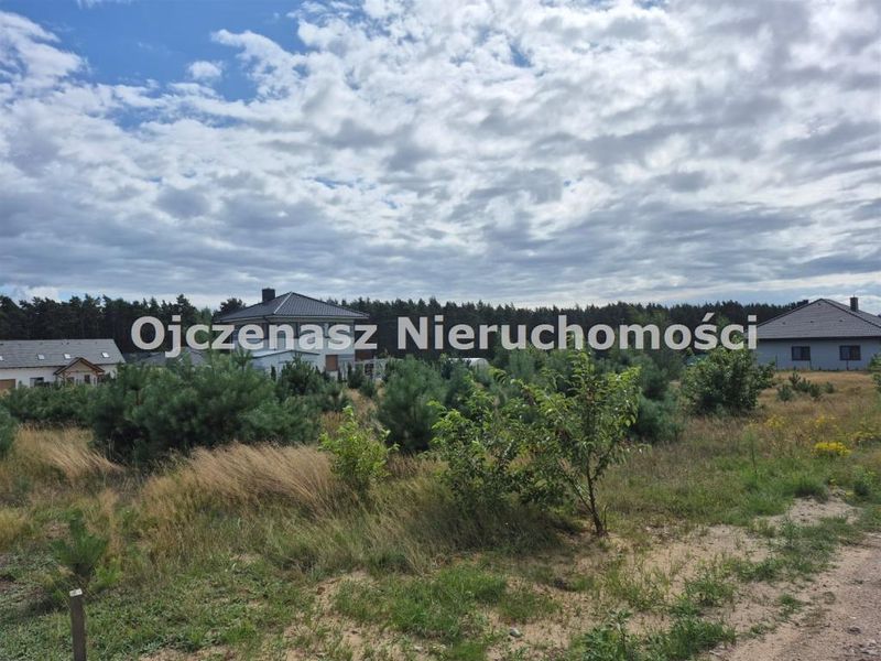 Zdjęcie ogłoszenia -  