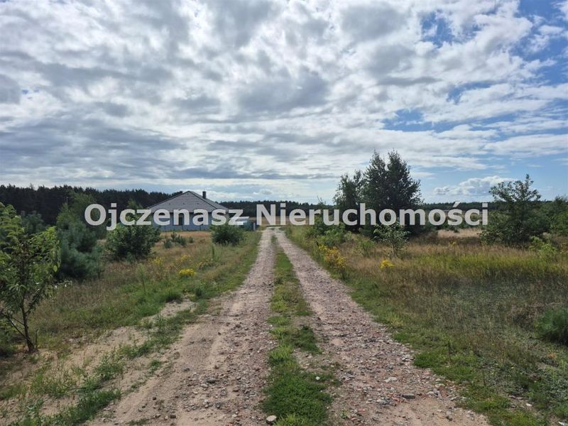 Zdjęcie ogłoszenia -  
