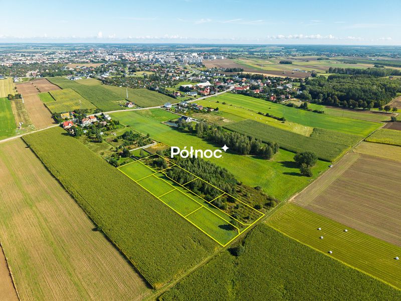 Zdjęcie ogłoszenia -  