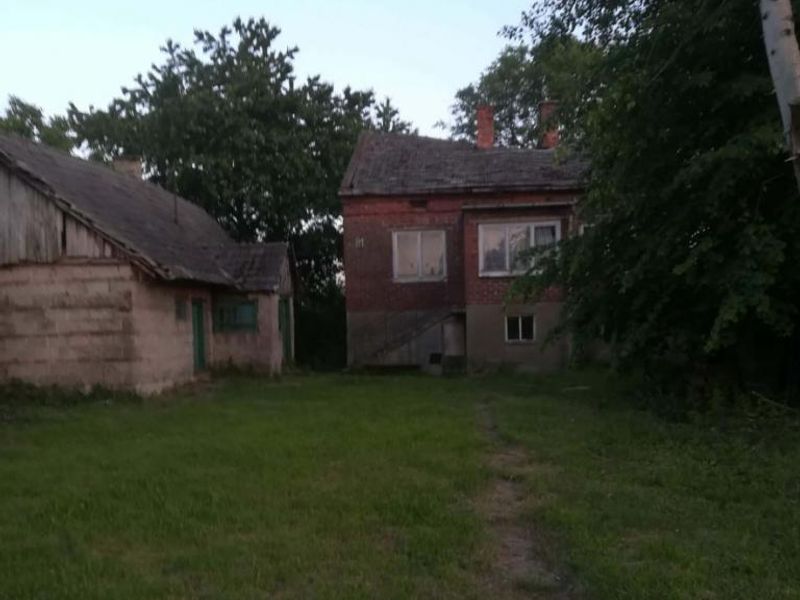 Zdjęcie ogłoszenia -  
