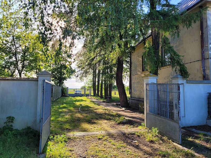 Zdjęcie ogłoszenia -  
