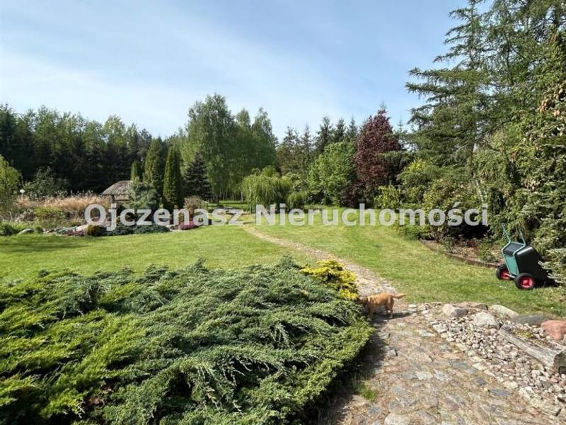Zdjęcie ogłoszenia -  