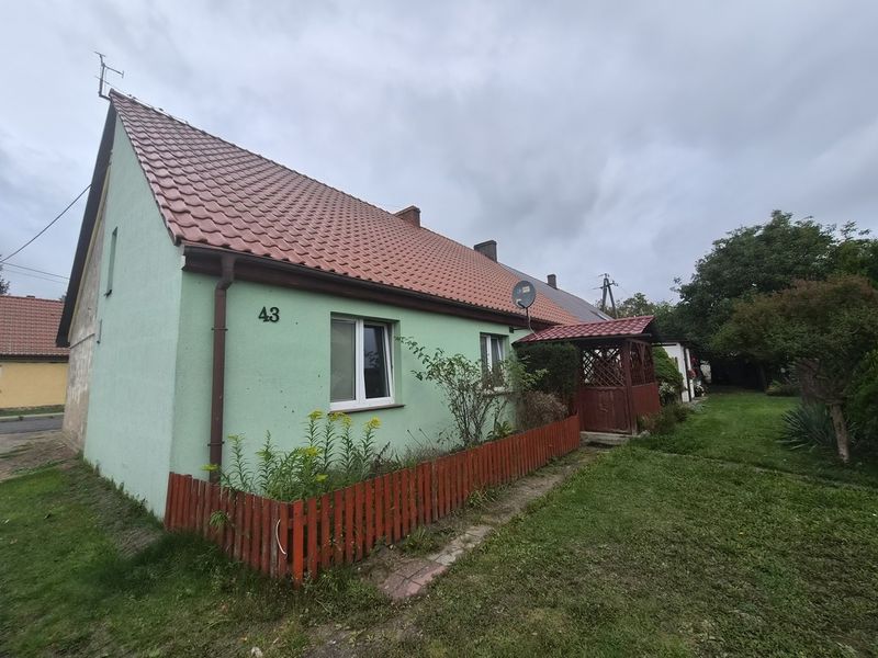 Zdjęcie ogłoszenia -  