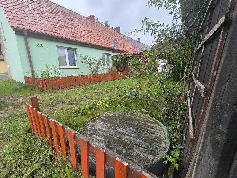 Zdjęcie ogłoszenia -  