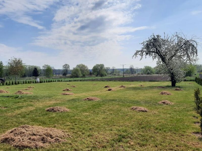 Zdjęcie ogłoszenia -  