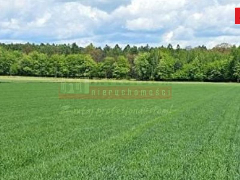 Zdjęcie ogłoszenia -  