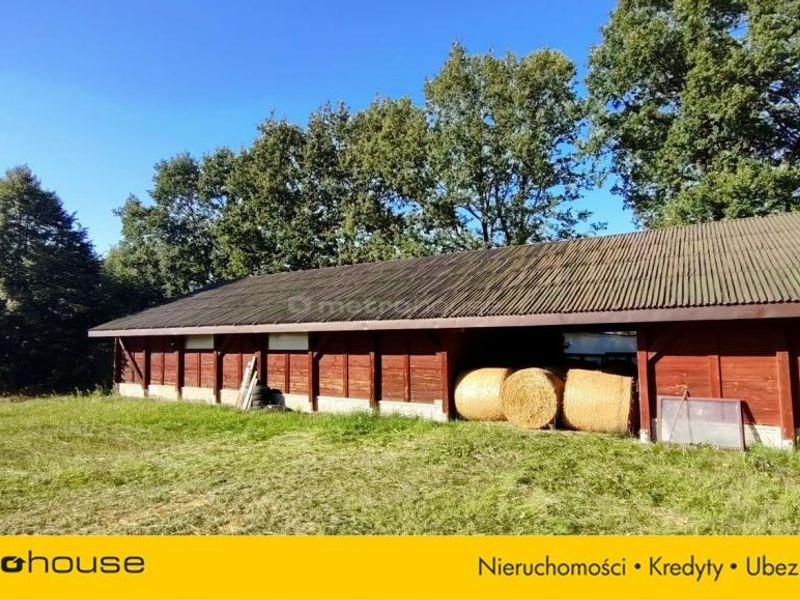 Zdjęcie ogłoszenia -  