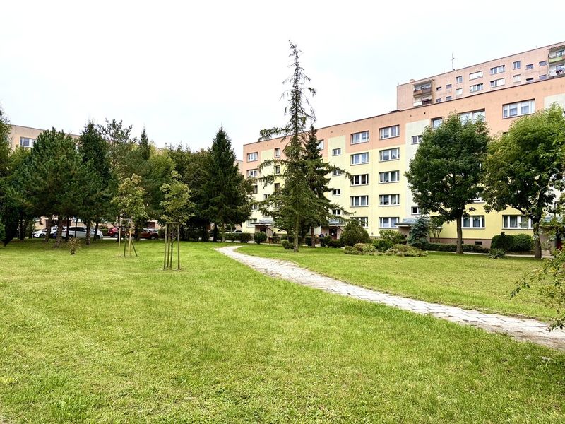 Zdjęcie ogłoszenia -  