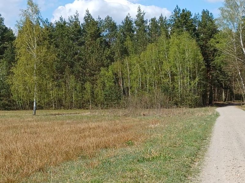 Zdjęcie ogłoszenia -  