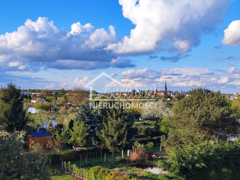 Zdjęcie ogłoszenia -  