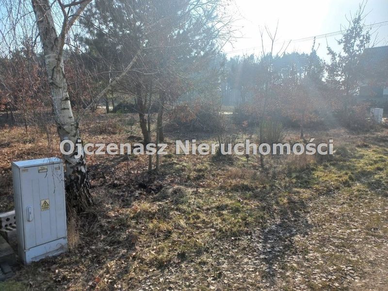 Zdjęcie ogłoszenia -  