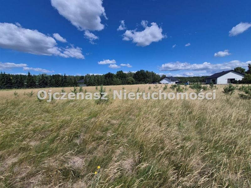 Zdjęcie ogłoszenia -  