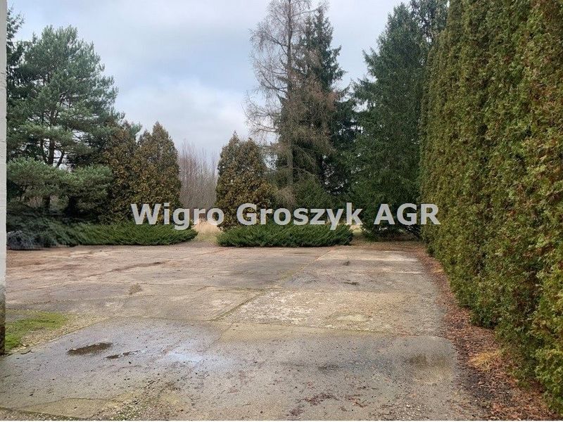 Zdjęcie ogłoszenia -  