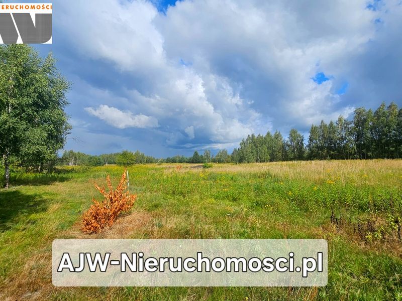 Wojcieszyn, Zalesie 1500 m2