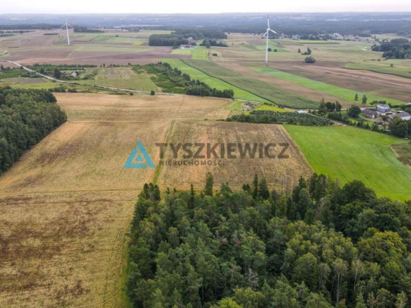 Zdjęcie ogłoszenia -  