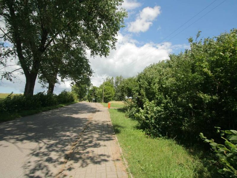 Zdjęcie ogłoszenia -  